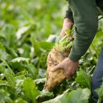 Kringvergaderingen campagne 2025