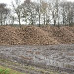 Benut de rooibare dagen!