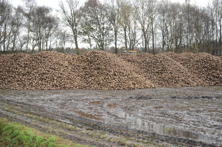 Benut de rooibare dagen!