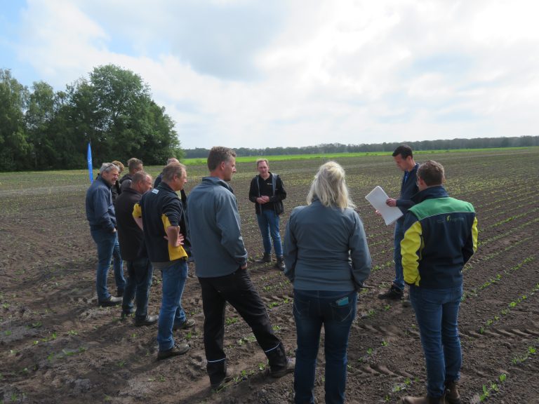 Inspiratiemiddagen Groeikracht Cosun