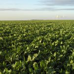 Verlaging toewijzing 2026