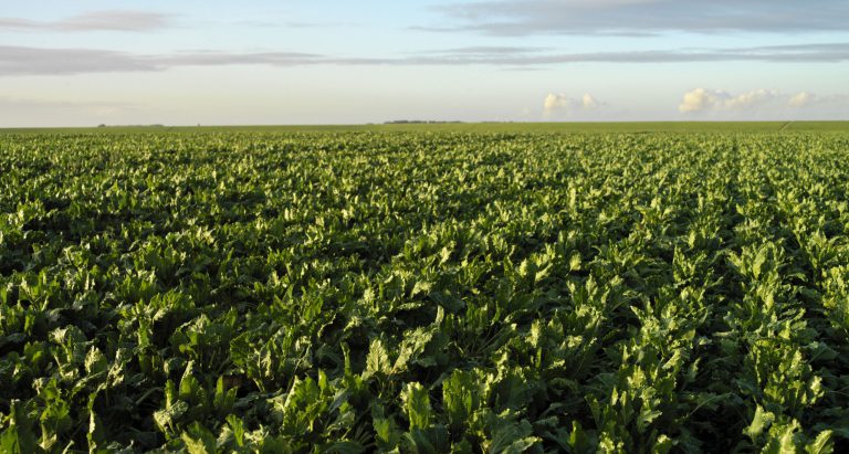 Verlaging toewijzing 2026