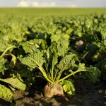 Forse tegenwind drukt resultaat in dynamisch 2025